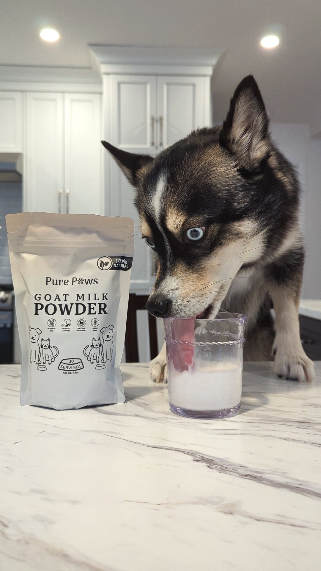 Is Goat Milk Good for Dogs? - Pure Paws