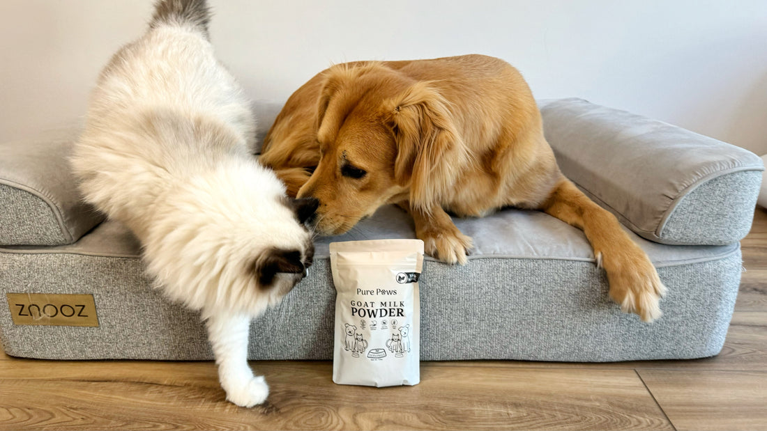 Pure Paws and Goat Milk: Pioneering Pet Wellness with Nature's Best