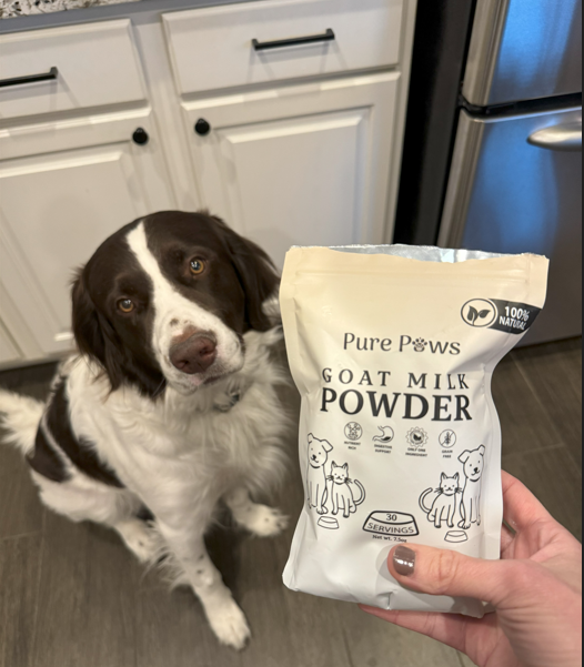 Superfood for Dogs: Why Goat Milk is a Game-Changer for Dogs