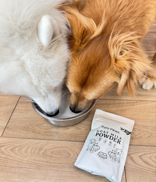 Integrating Goat Milk Into Your Pet's Diet: A Step-by-Step Guide - Pure Paws