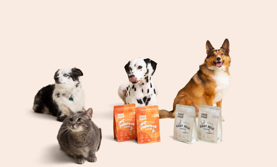 The Benefits of Organic Ingredients in Pet Food - Pure Paws