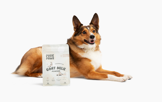 The Benefits of Goat Milk for Pets: Why You Should Consider It - Pure Paws